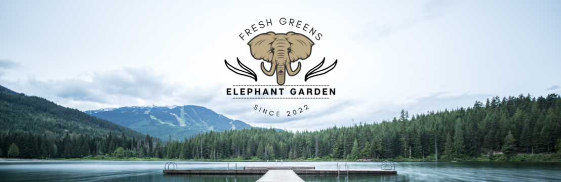 elephantgarden