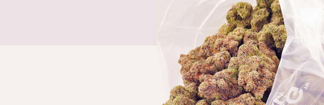 thehightimescannabis