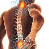 thephysiorehab