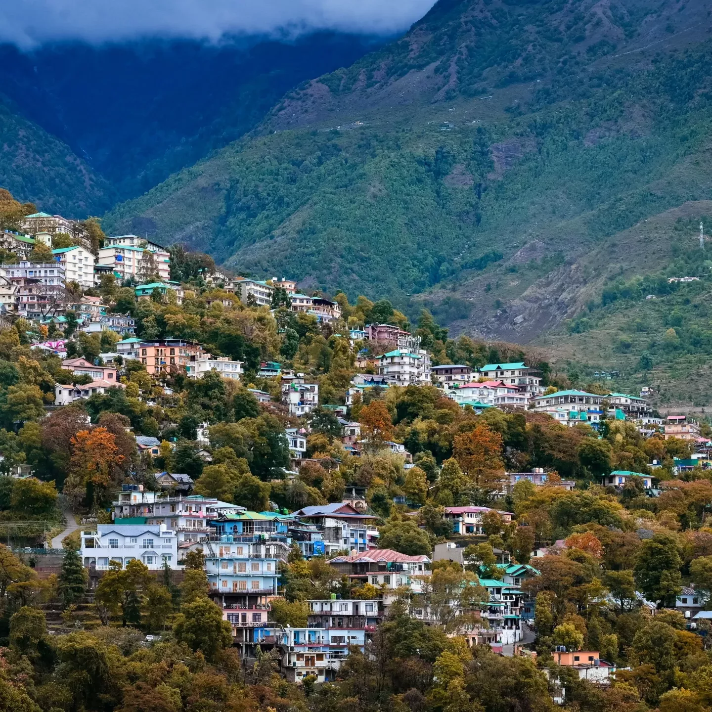 Manalitourtrip