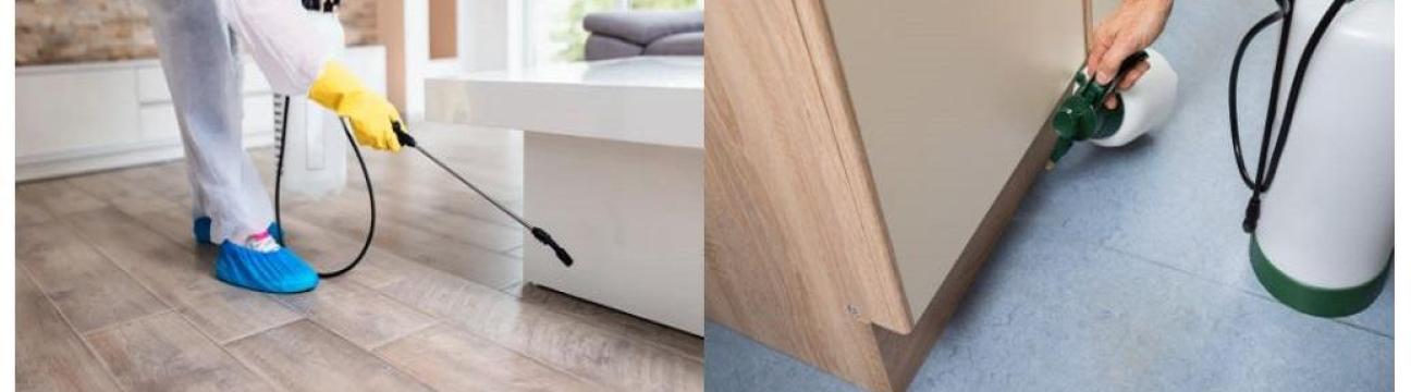 thepestandtermitecompany