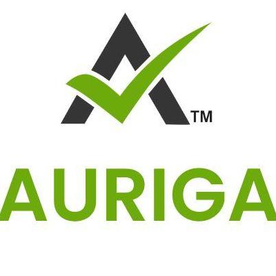 Aurigaaccounting
