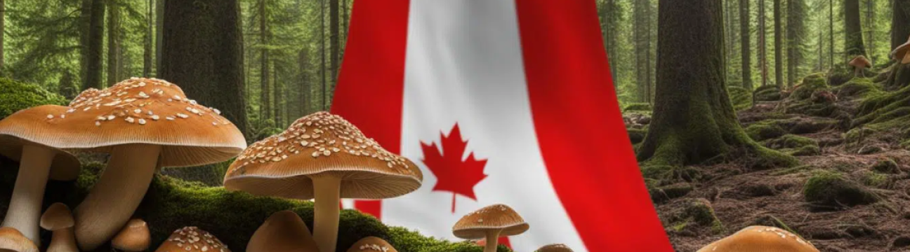 organicshroomcanada