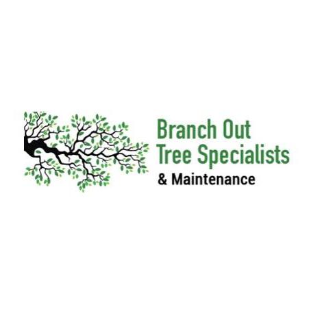 branchouttreespecialistau