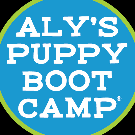 alyspuppybootcamp