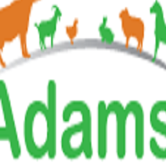 adamselevageMa