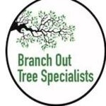 branchouttreespecialistsnsw