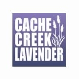 cachecreek