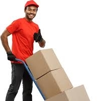 vedcargo