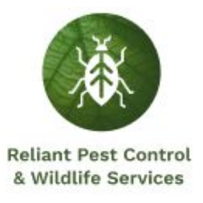 Reliant