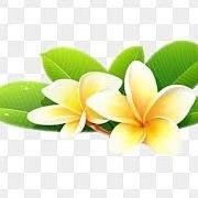 Priyammr