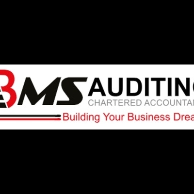bmsauditing1