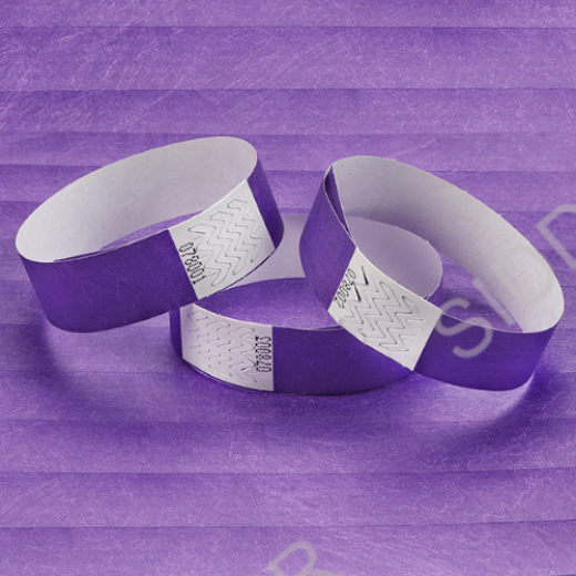 wristbandfit