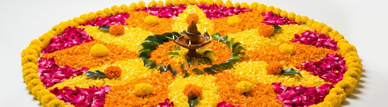 rajniduttaart