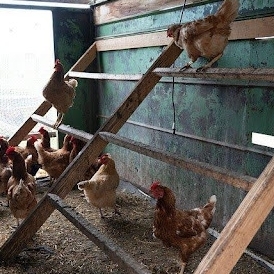 shedsolutions
