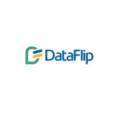 dataflip