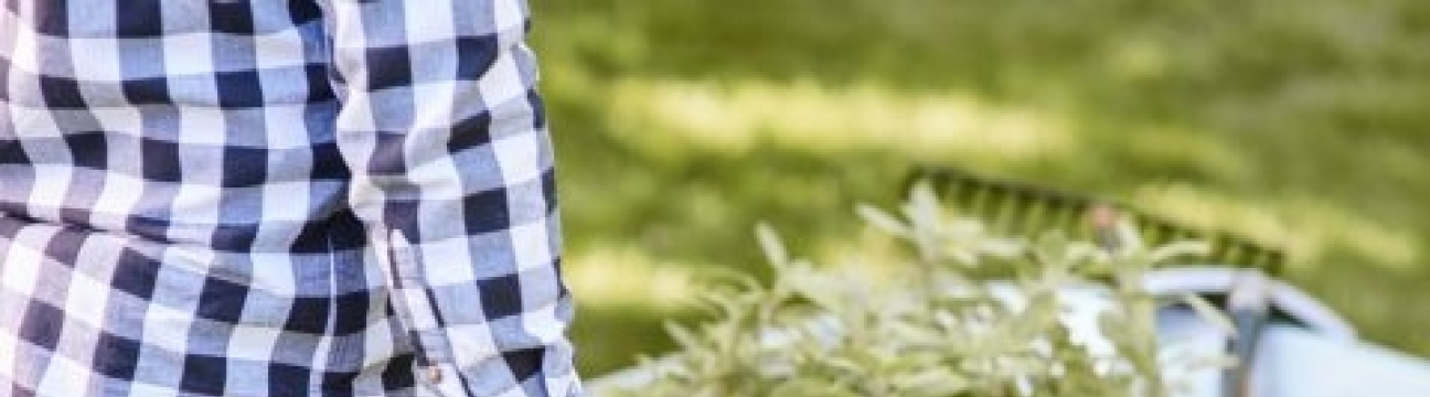 vanguardecosolutions