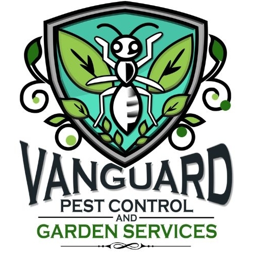 vanguardecosolutions