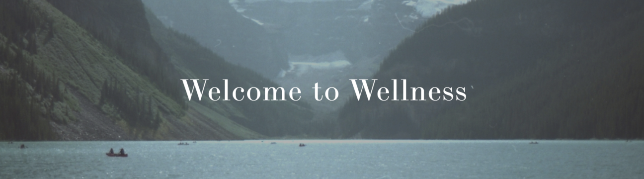 wholewellnesstherapyservices