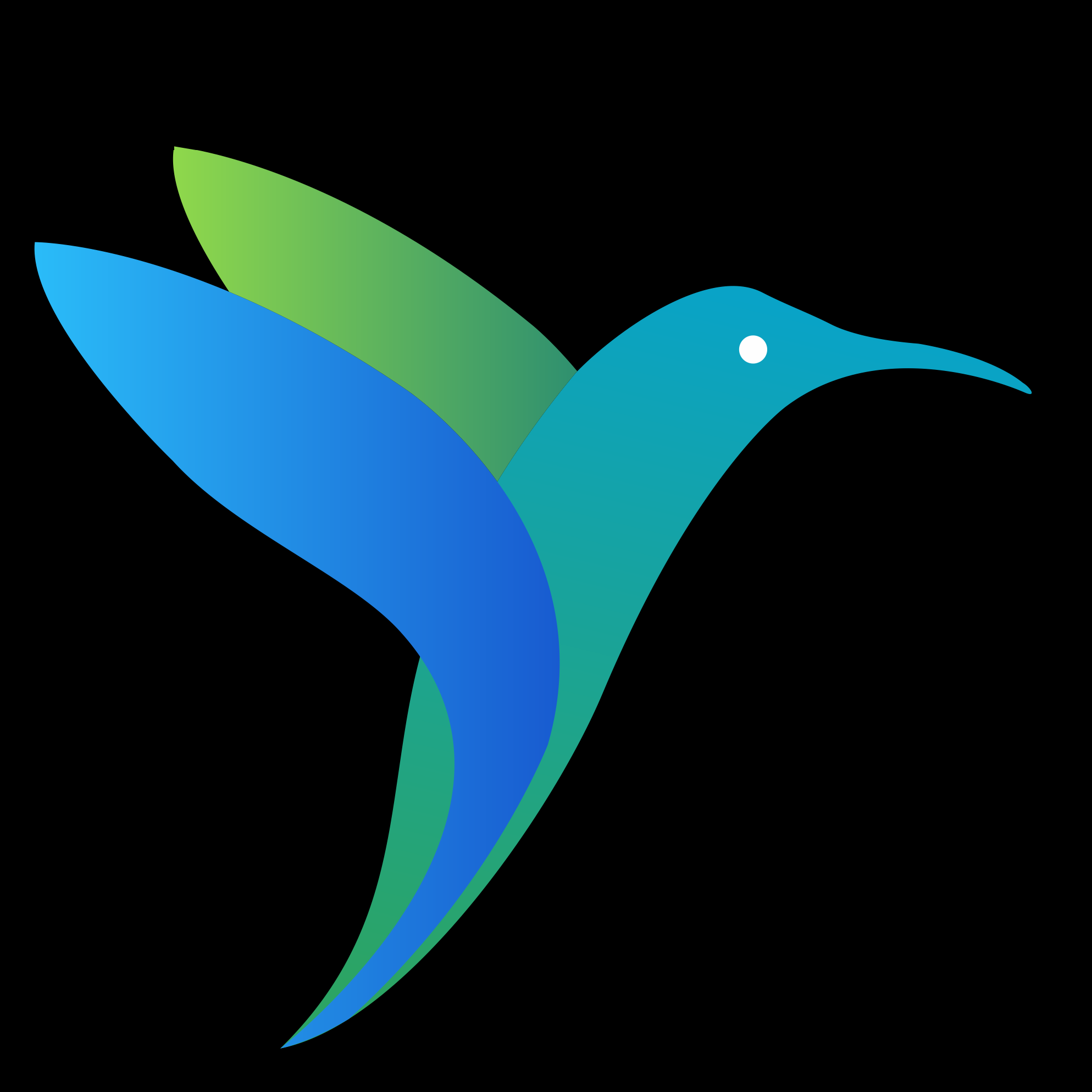 Birdmorning Solutions Pvt. Ltd.