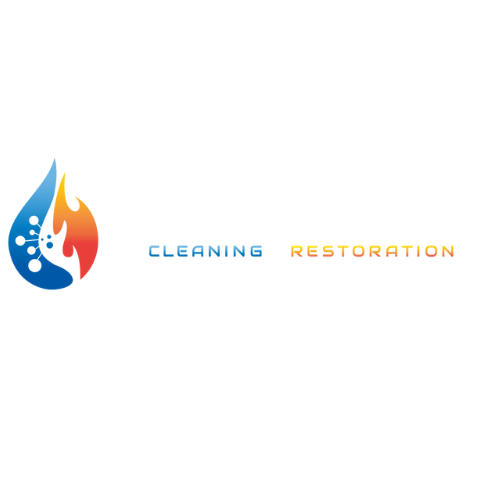 MeticulosityCleaning