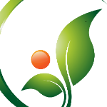 herbaldubai4