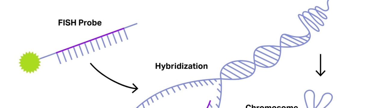 genebiosolution