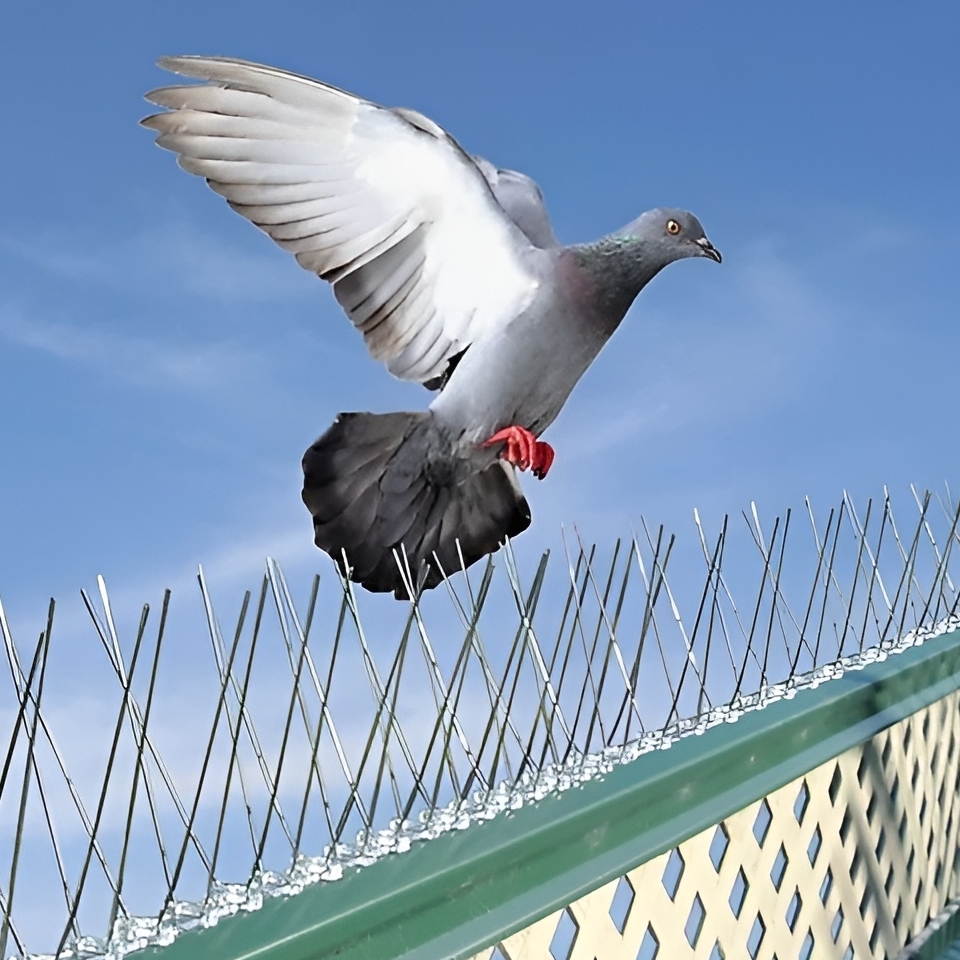 BirdControl_9878