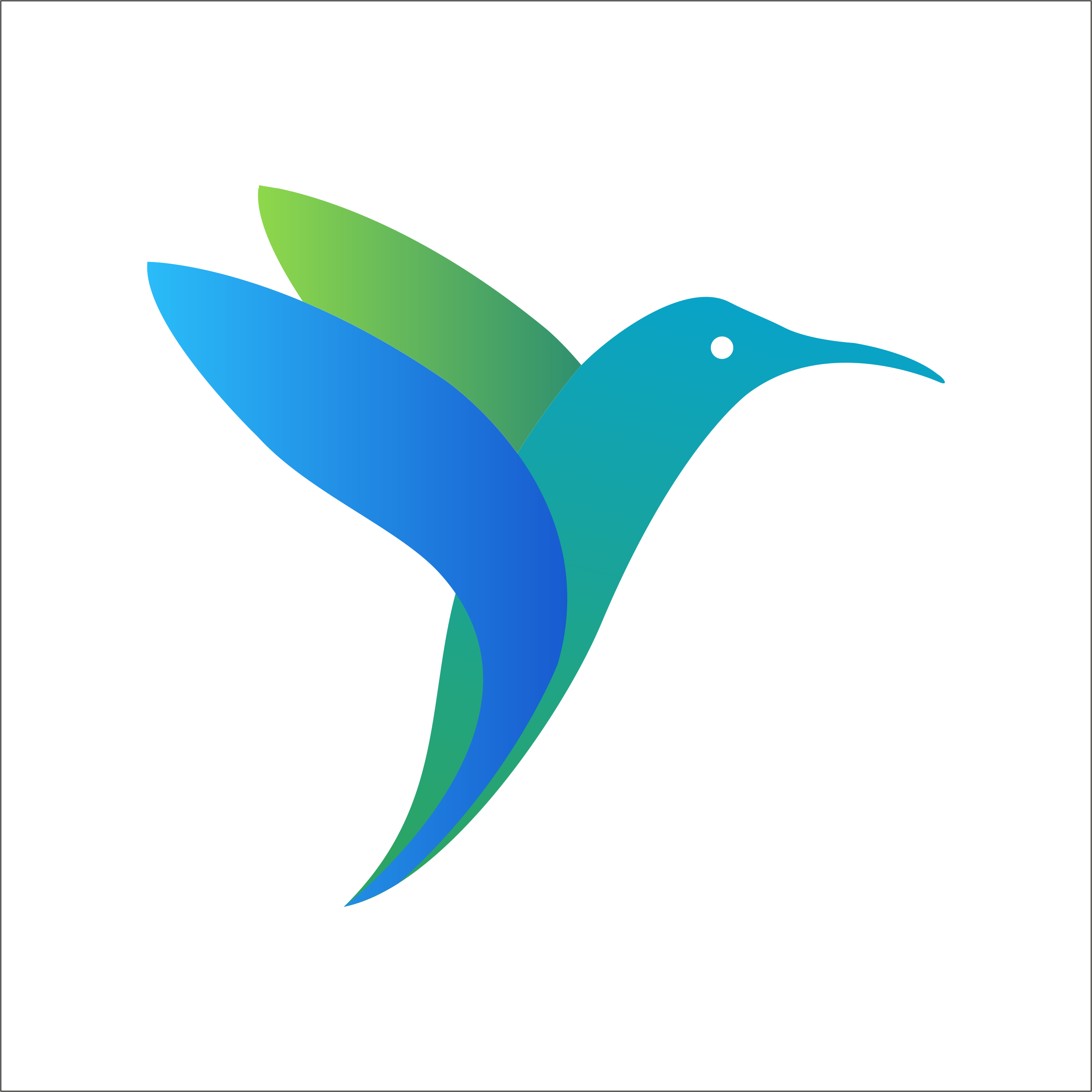 birdmorning