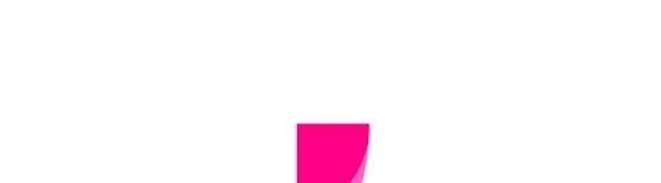 diginest1