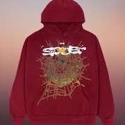 sp5derhoodie30