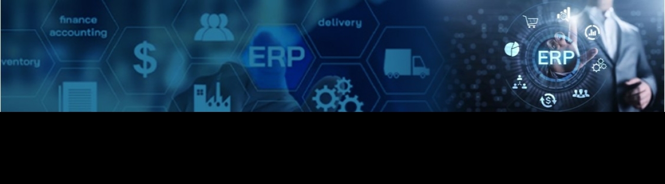 ERP Consulting Group