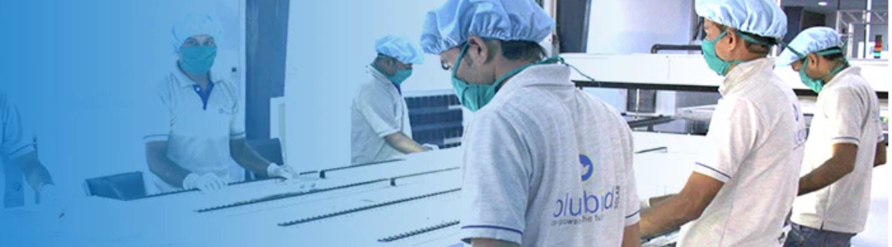 Bluebird Solar Pvt. Ltd.