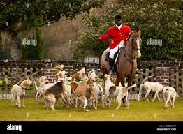 hounds at the Middleton Place Fox Hunt ...