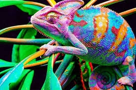 Smart skin developed to change colors ...